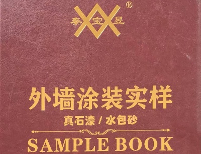 外墙涂装实样